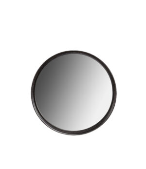 DINO mirror