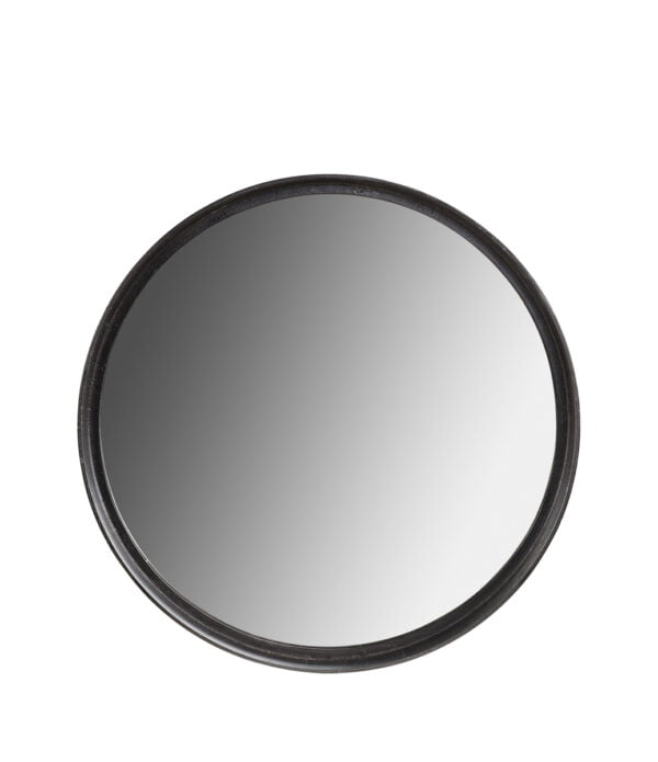 DINO Mirror