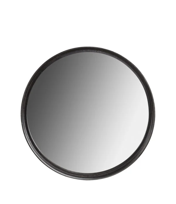 DINO Mirror