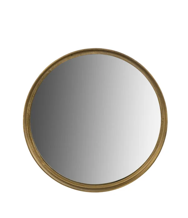 DINO Mirror