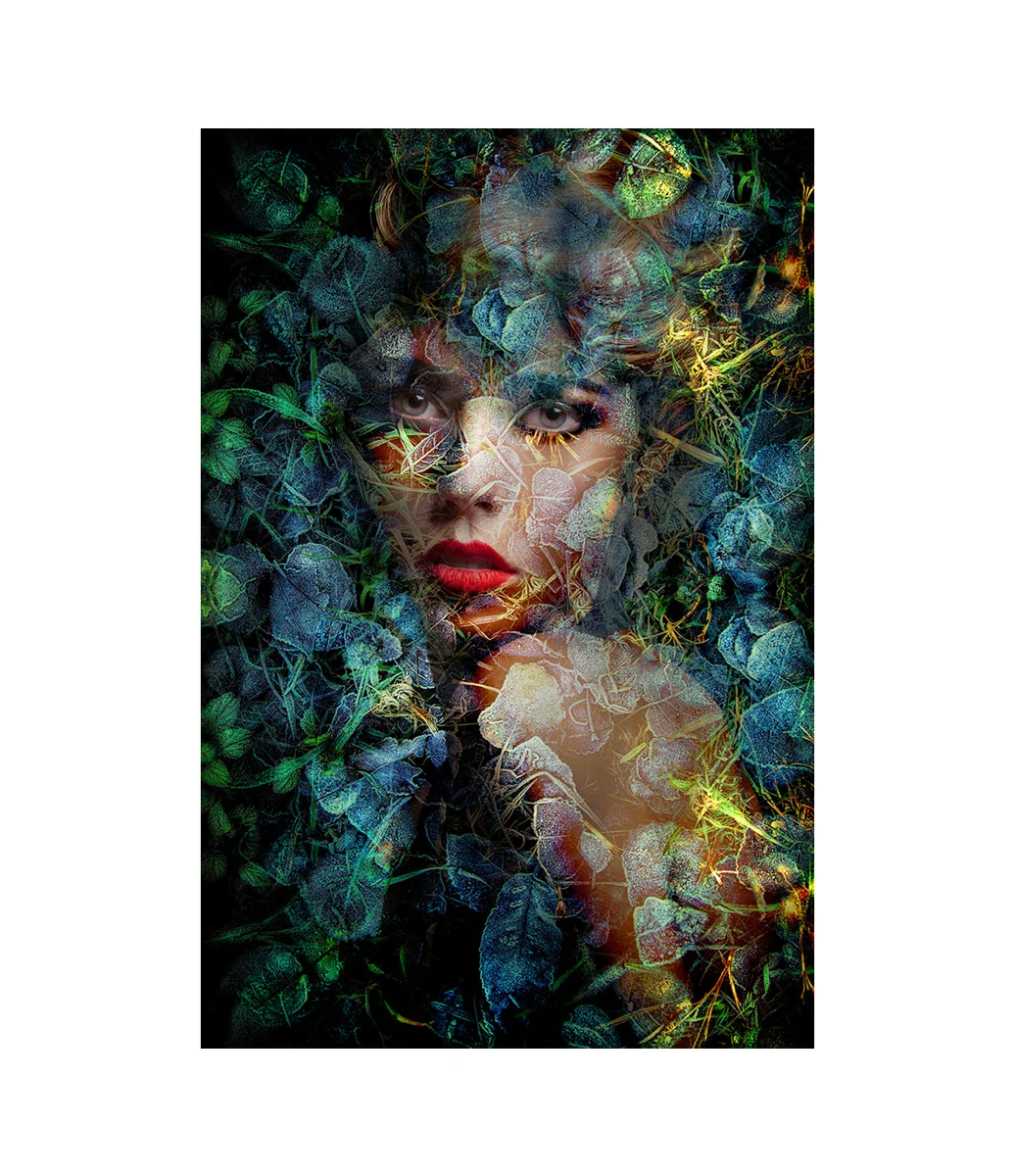 BLUE AUTUMN photo art