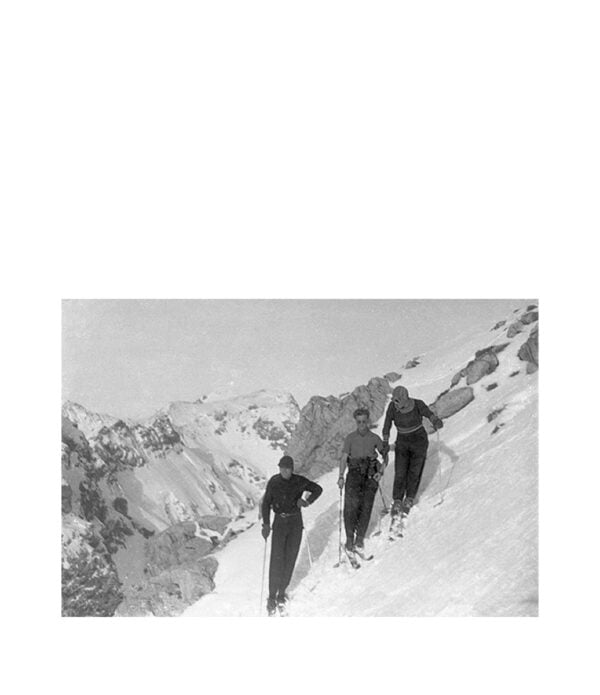 SKIING Fototavla
