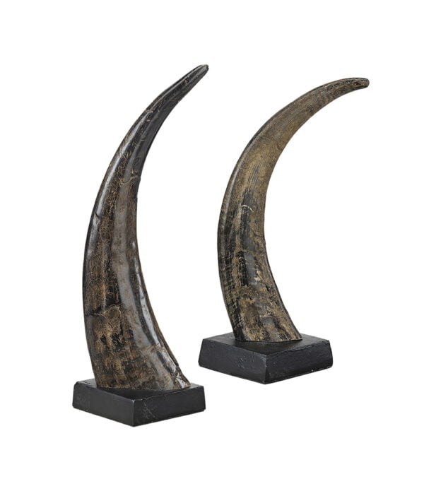 AVORIO CORNO 2-pack horn decorations