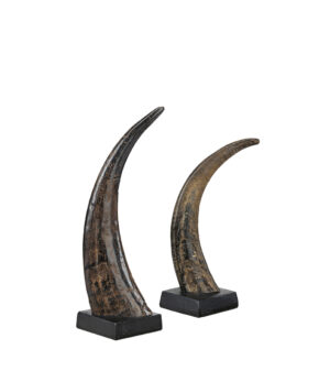 AVORIO CORNO 2-pack horn decorations
