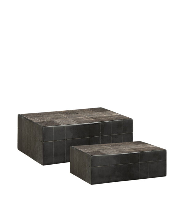 AVORIO 2-pack askar