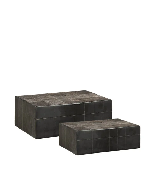 AVORIO 2-pack askar