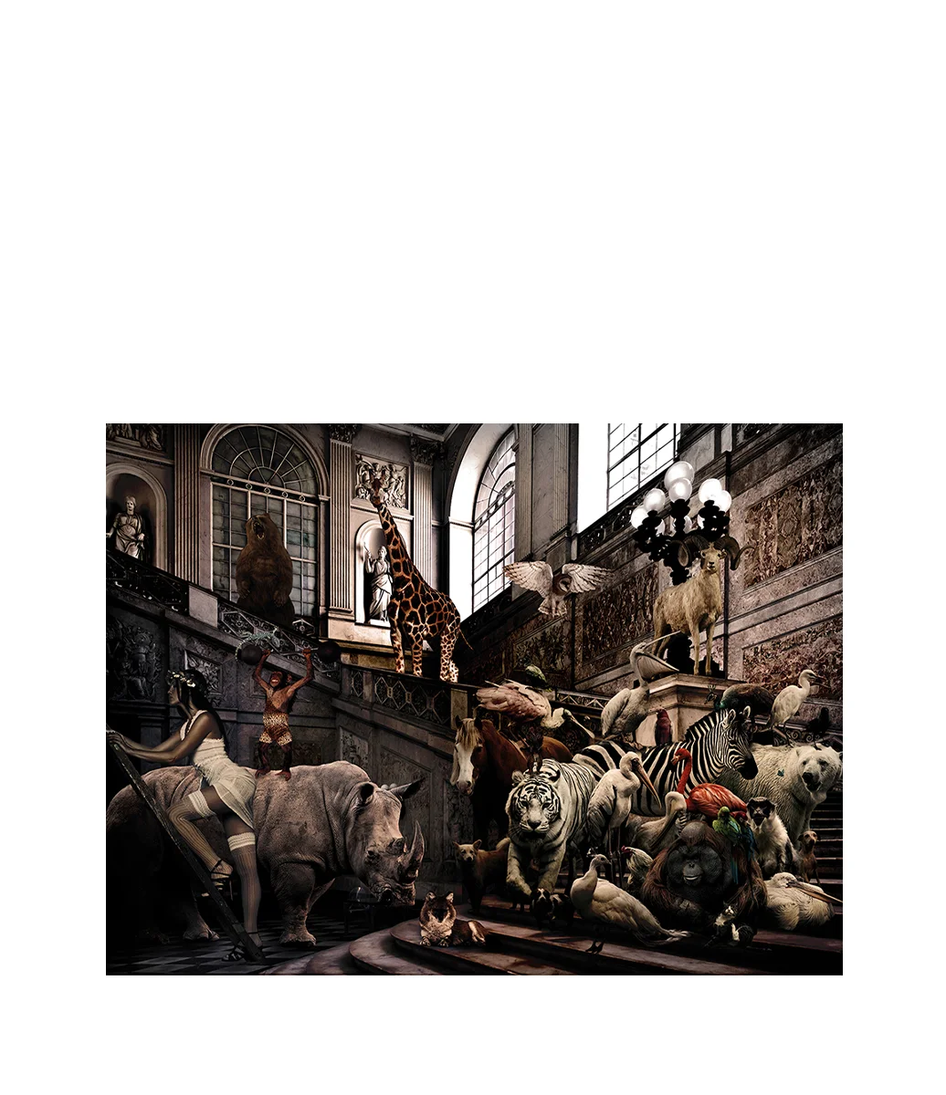 CITY JUNGLE Photographic art