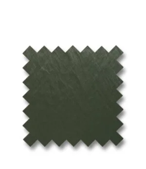 DORSIA Green