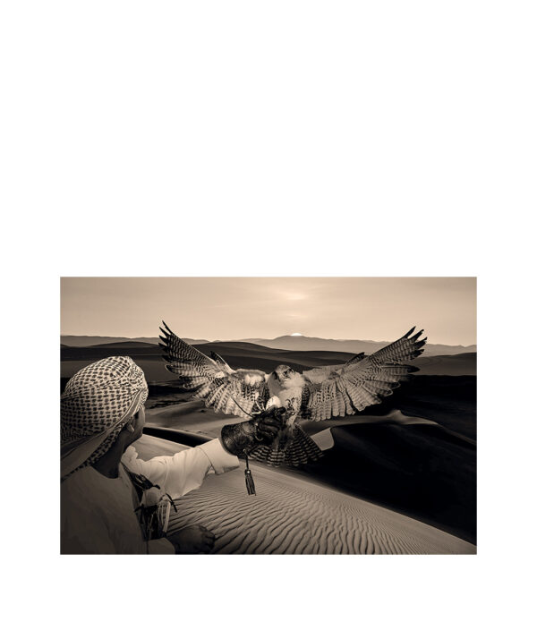 ARABIAN HUNT Photo art