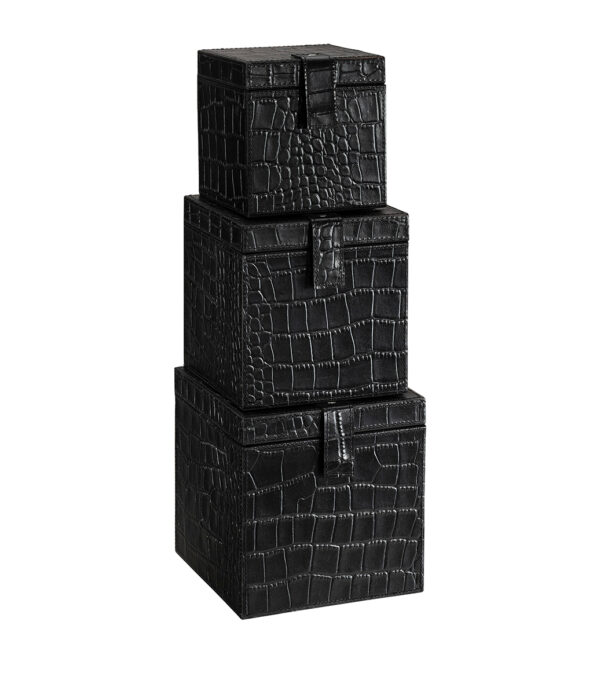 Box MARCELLO