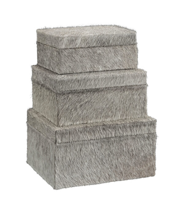 ROCCO 3-pack förvaringsboxar