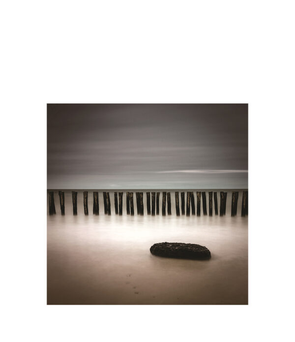 WOODEN COASTLINE Photographic art