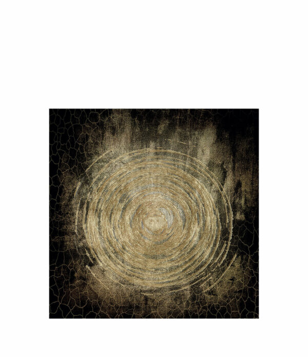 CIRCLE OF LIFE Photographic art