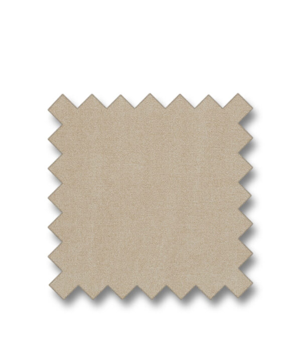 SIMPLY CAMEL